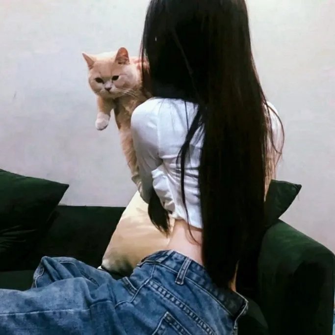 游说